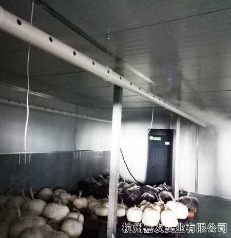 深圳万向娱乐-超声波加湿器
